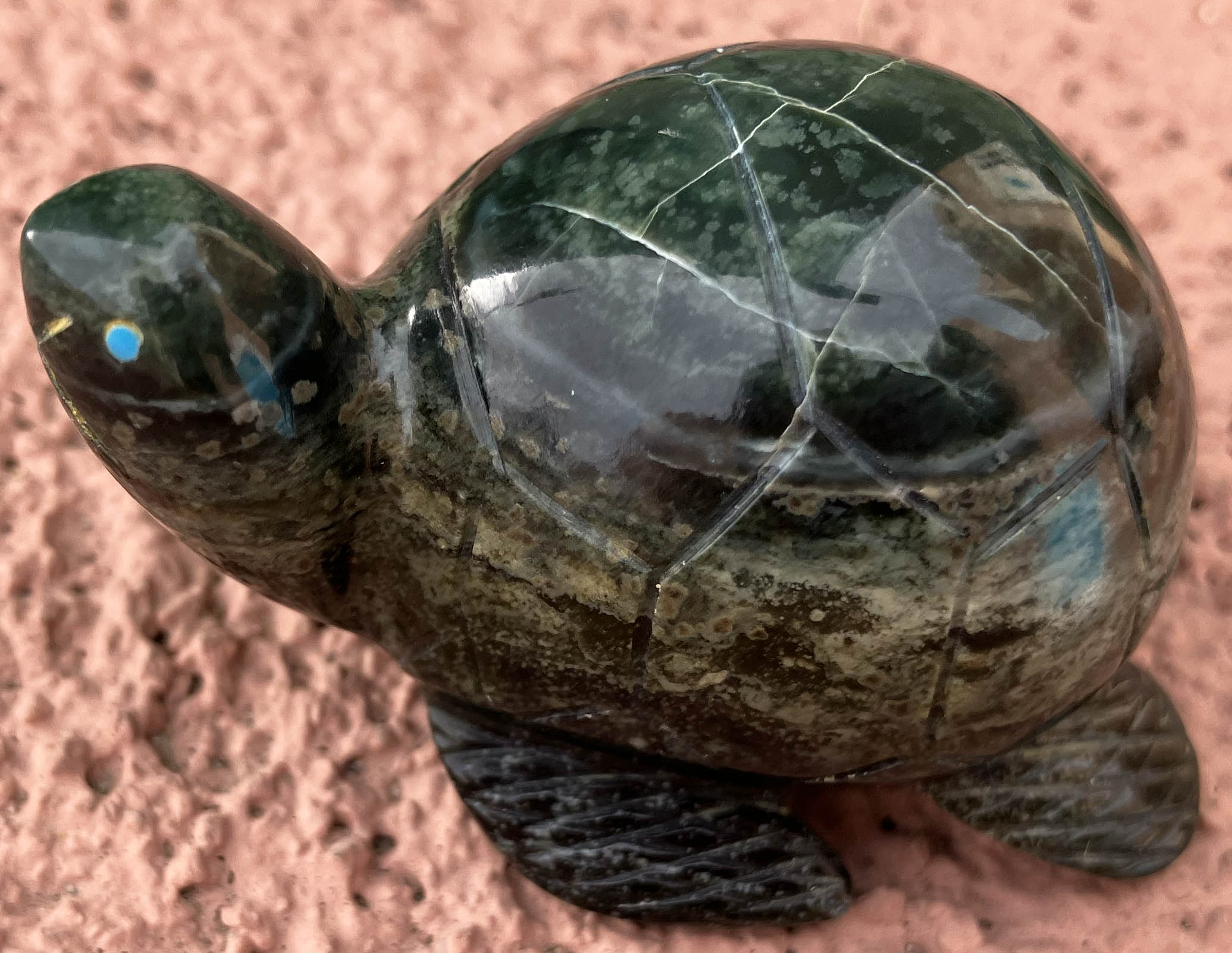 Rosella Lunasee | Zuni Sea Turtle Fetish | Penfield Gallery of Indian Arts | Albuquerque, New Mexico